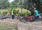 Optimalisasi Lahan Sido Maju 01, Curahketing Sudah Sesuai Standar