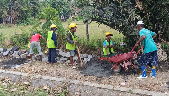 Optimalisasi Lahan Sido Maju 01, Curahketing Sudah Sesuai Standar
