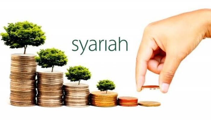SR025 Tetap Menarik di Tengah Pasar Berfluktuasi