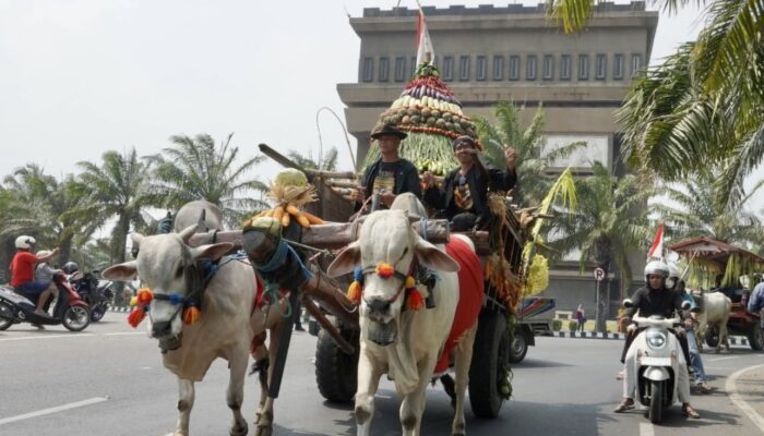 Parade Cikar ke-5 Kabupaten Kediri, Rawat Tradisi dan Lestarikan Sapi Jawa
