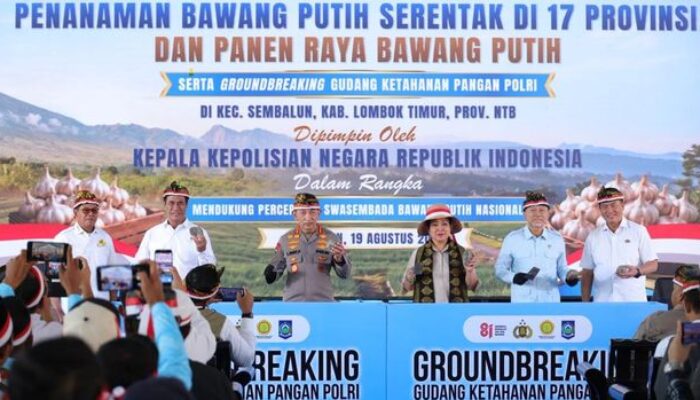 Bawang Putih RI Kejar Swasembada