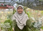 Kebun Komunal Perluas Akses Pangan