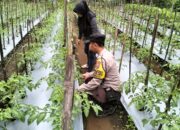 Polres Malang Perkuat Sinergi Pangan