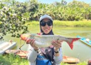 Populasi Ikan Lokal Meningkat, Ecoton dan Nelayan Jombang Gencarkan Sensus Ekosistem Kali Surabaya