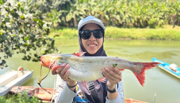 Populasi Ikan Lokal Meningkat, Ecoton dan Nelayan Jombang Gencarkan Sensus Ekosistem Kali Surabaya