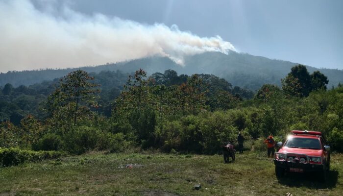 Antisipasi Karhutla, BPBD Blitar Perketat Perbatasan Sirahkencong