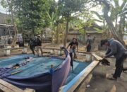Gerebek Dua Arena Sabung di Nganjuk, Polisi Sita Empat Ekor Ayam Aduan