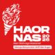 Mengupas Filosofi Logo Haornas 2026: Simbol Kobaran Obor Inklusif dan Misi Menuju Indonesia Bugar