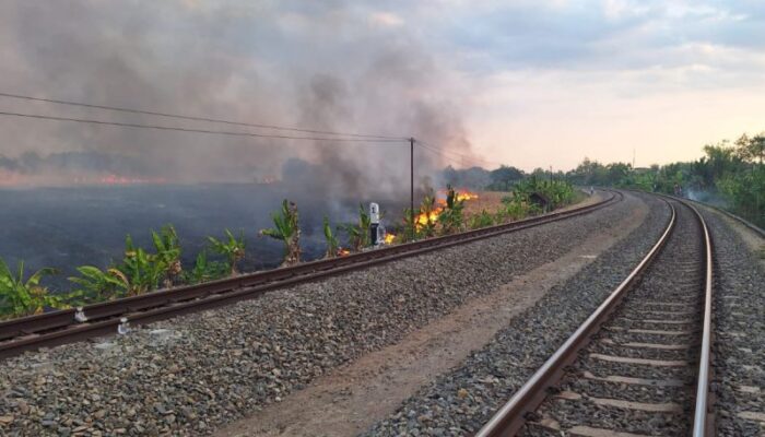 KAI Imbau Warga Tak Bakar Sampah di Sekitar Jalur Rel
