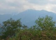 Karhutla Landa Gunung Wilis, BMKG Deteksi 46 Titik Panas