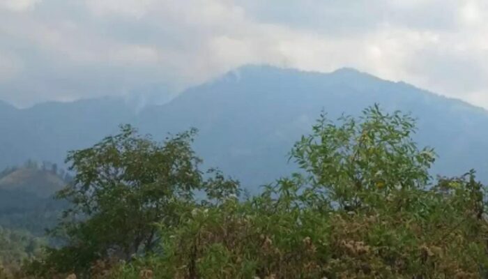Karhutla Landa Gunung Wilis, BMKG Deteksi 46 Titik Panas