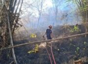 Kebakaran Hutan di Tulungagung Ancam Permukiman Warga