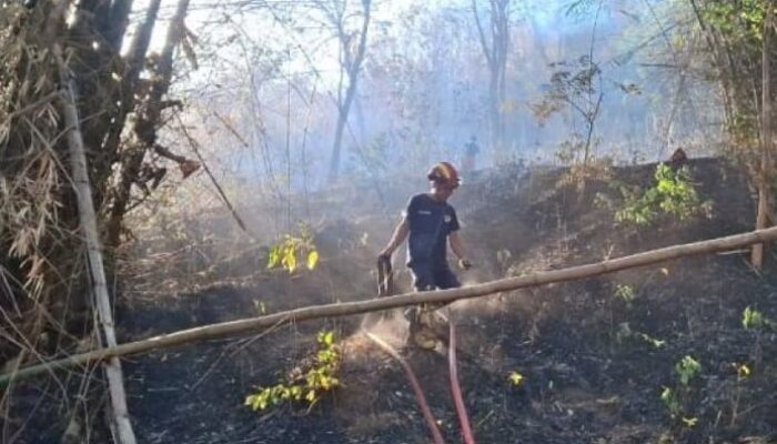Kebakaran Hutan di Tulungagung Ancam Permukiman Warga