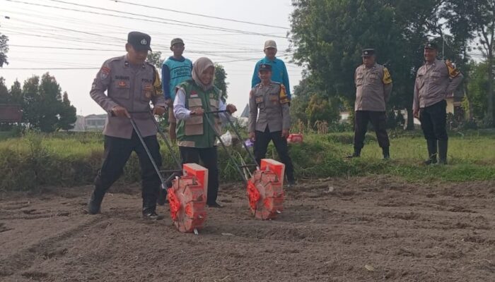 Perkuat Ketahanan Pangan, Polsek Wlingi dan Pemdes Bening Tanam Jagung