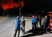Karhutla Gunung Wilis, Wabup Trihandy Instruksikan Petugas Utamakan Keselamatan
