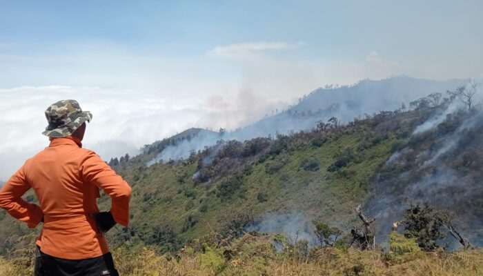 BPBD: Semeru Erupsi, APG Nihil
