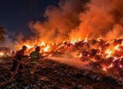 Api Bakar Limbah Kayu di Lumajang, Permukiman Terancam