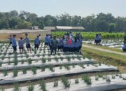 Dari Kebun, Siswa YPPI Belajar Menjaga Masa Depan