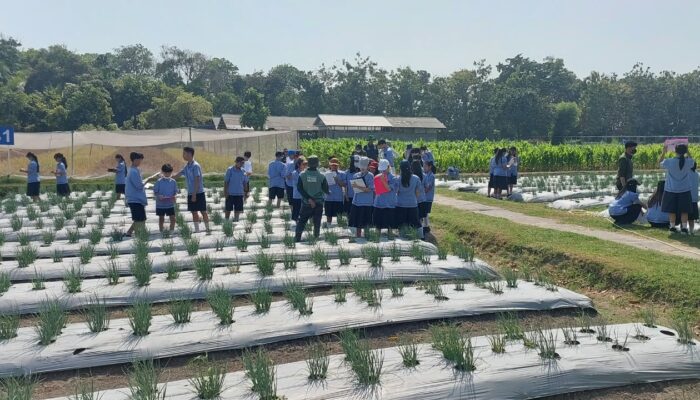 Dari Kebun, Siswa YPPI Belajar Menjaga Masa Depan