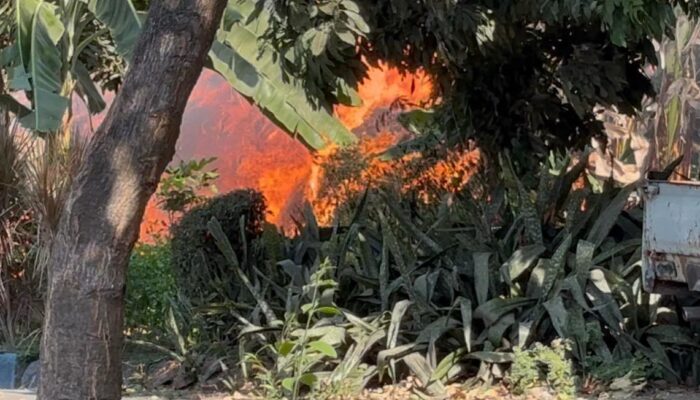 Api Mengamuk di TPA Belahan Tengah Mojokerto, Lima Unit Damkar Diterjunkan Jinakkan Kebakaran