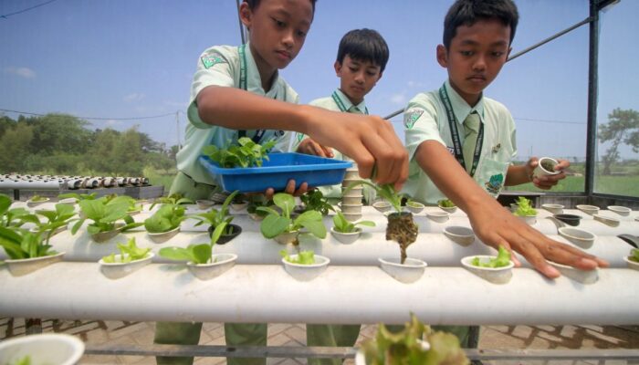 Rumah Kaca Bumi Shalawat Cetak Siswa Berjiwa Agribisnis