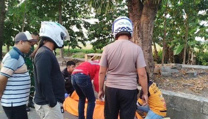 Laka Tunggal di Mojokerto, Pemotor Shogun Meninggal Dunia