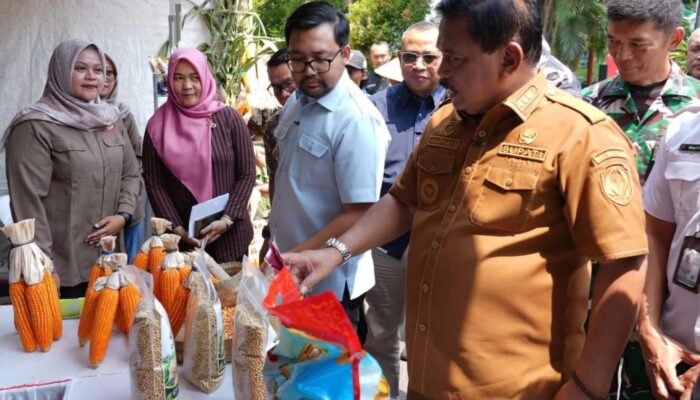 Hari Tani Nasional Ke-66, Kang Marhaen Dorong Petani Nganjuk Bertransformasi Jadi Agropreneur Modern