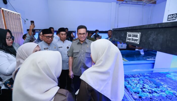 Koral Banyuwangi Go Global, Amerika Jadi Pasar Baru