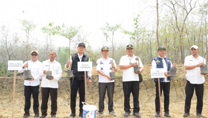 Embung Wono Tirto Lestari di Sambeng Lamongan, Tampung 95 Ribu Meter Kubik Air
