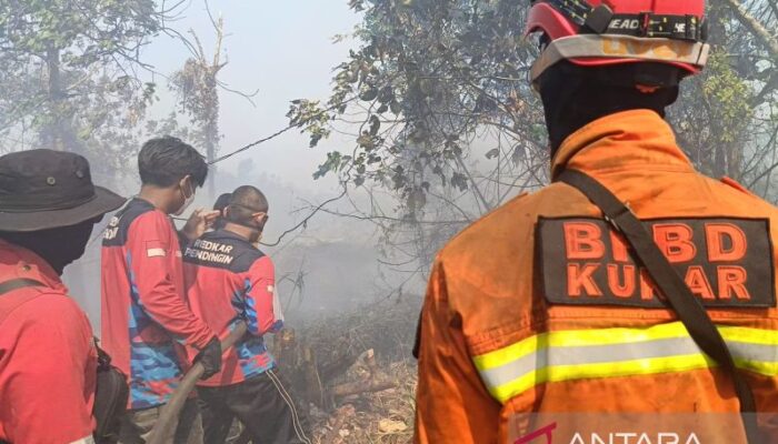 Karhutla Renggut 10 Nyawa, DPR Desak Asuransi