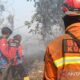 Karhutla Renggut 10 Nyawa, DPR Desak Asuransi