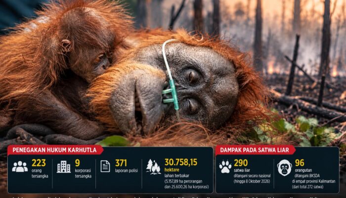 9 Korporasi dan 223 Orang Tersangka