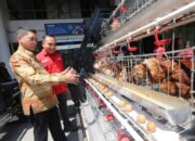 Mahasiswa ITS Ciptakan Futechi Farm untuk Modernisasi Peternakan Ayam