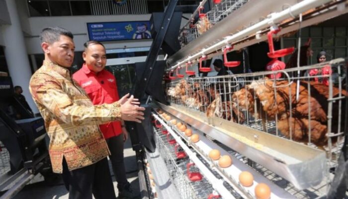 Mahasiswa ITS Ciptakan Futechi Farm untuk Modernisasi Peternakan Ayam