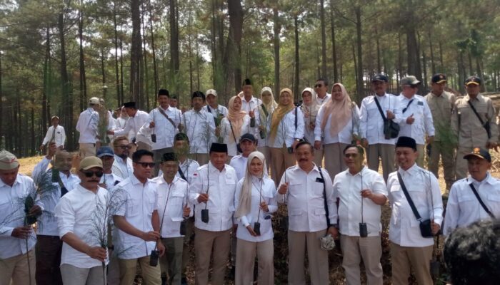Gerindra Pasuruan Tanam Seribu Pohon