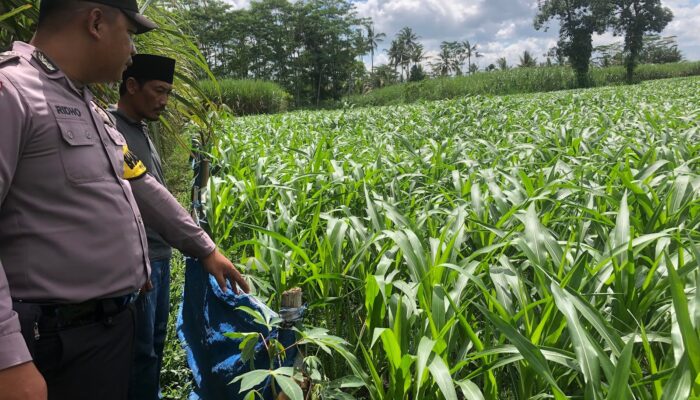 Polisi Desa Dukung Ketahanan Pangan