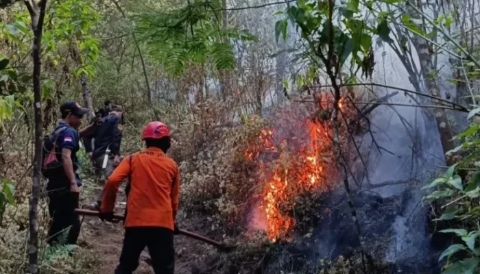 Karhutla Jatim Capai 11.449 Hektare