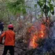 Karhutla Jatim Capai 11.449 Hektare