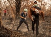 KPK Usut Dana Bencana