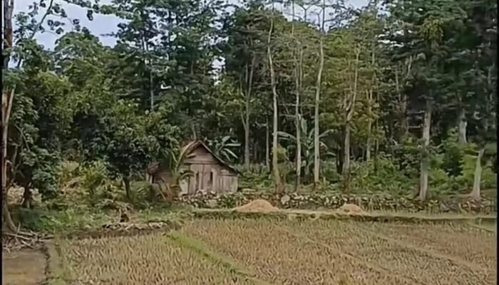 Mitos “Kampung Mati” Dusun Sokoliman Nganjuk