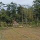 Mitos “Kampung Mati” Dusun Sokoliman Nganjuk