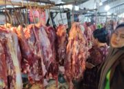 Harga daging sapi