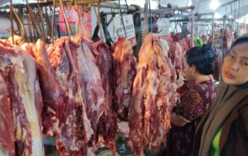 Harga daging sapi