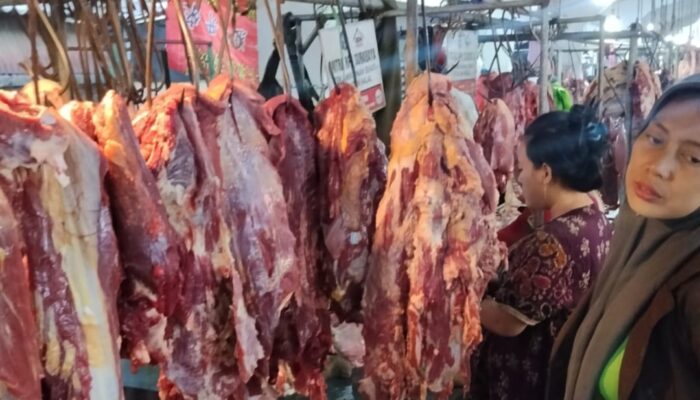 Harga Daging Sapi di Surabaya Stabil Rp150.000 per Kg Sejak Juni 2026, RPH Jamin Pasokan Aman