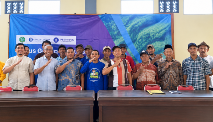 IPB Gandeng Petani Jombang Kembangkan Padi Unggul