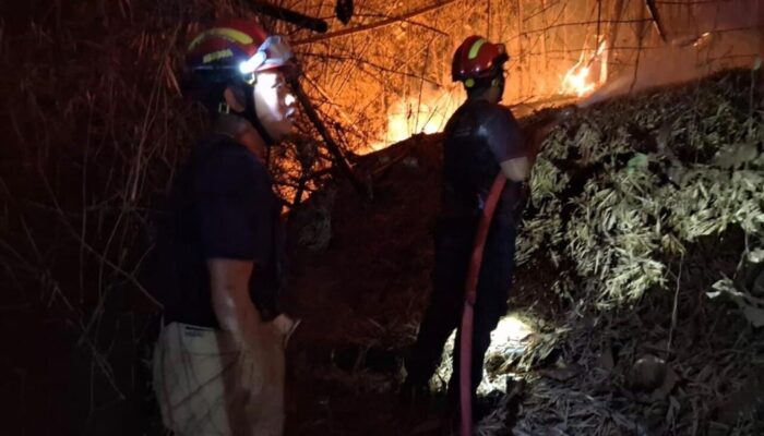 46 Kasus Karhutla Kepung Tulungagung, Nyawa Warga Jadi Taruhan