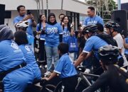 Karang Taruna