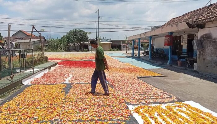 Jeratan Utang Tekan Perajin Kerupuk, Pemkab Sidoarjo Janjikan Intervensi Permodalan