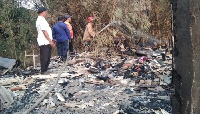 Si Jago Merah Ngamuk di Dlanggu Mojokerto, Rumah Semi Permanen dan Rumpun Bambu Hangus