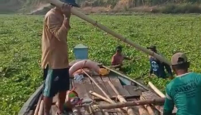 Eceng Gondok Lumpuhkan Tambangan Bengawan Solo di Bojonegoro, Anggaran Uji Air DLH Capai Rp100 Juta